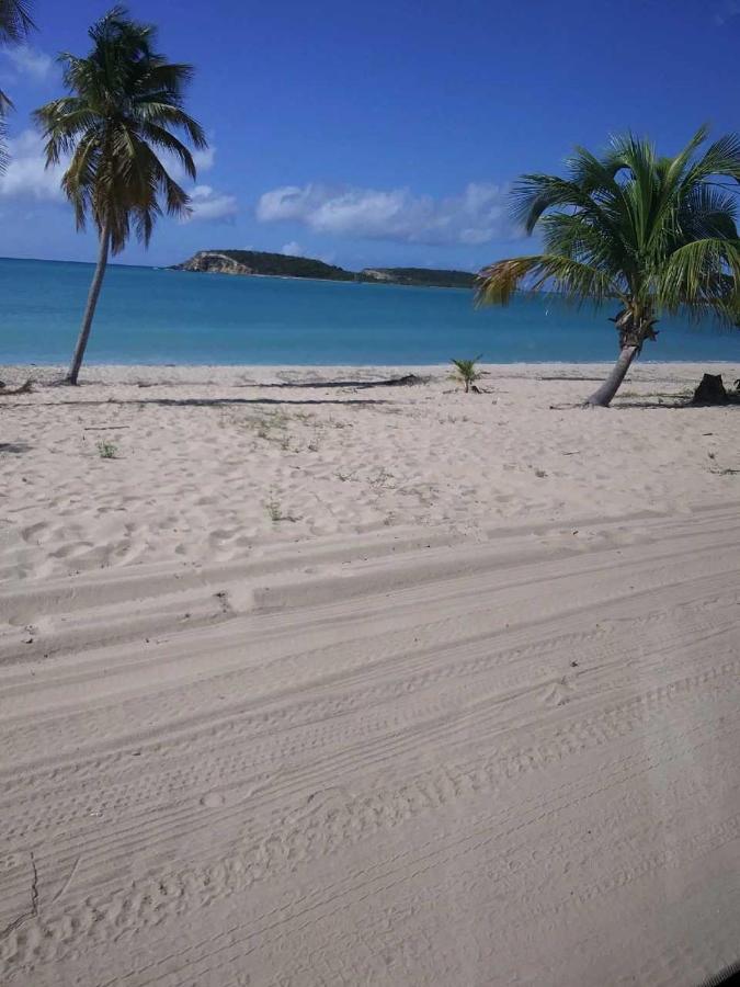 Crab Island Adventures Apartments بييكيس المظهر الخارجي الصورة